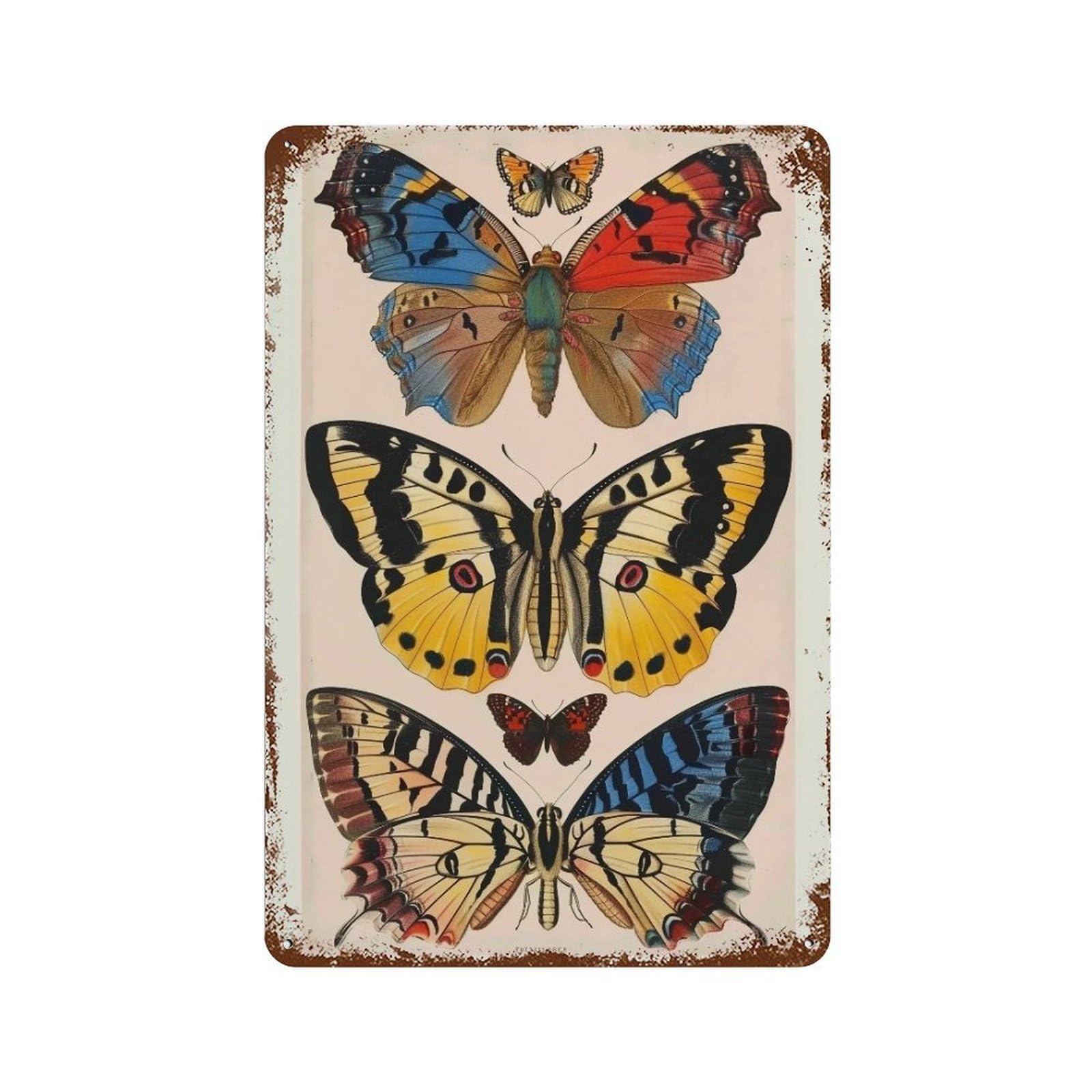 YHGERTKU Butterfly Specimens 01 Wall Art Retro Iron Vintage Metal Tin Sign Poster Modern Decor for Living Rooms Gift 30x20cm