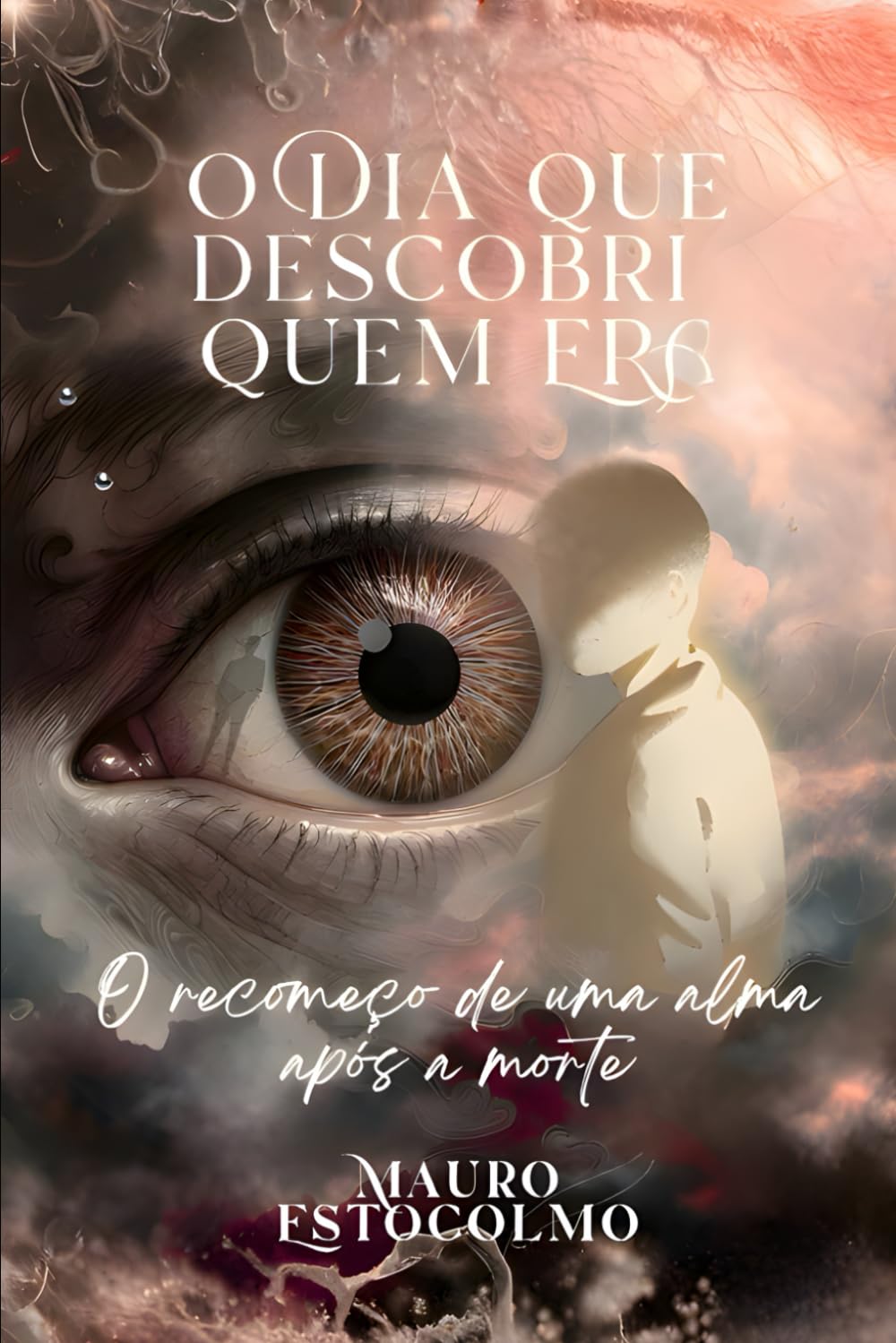 O Dia que Descobri Quem Era: O Recomeço de uma alma após a Morte