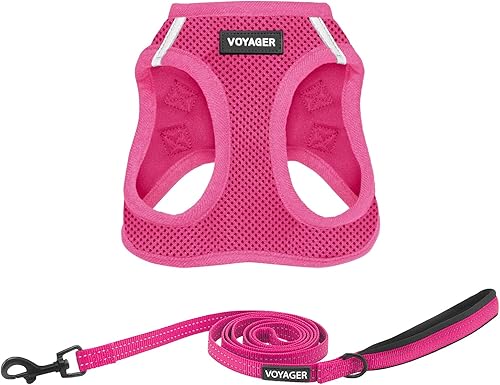 Best Pet Supplies Voyager Step-In Air - Arnés de malla para todo tipo de clima y correa reflectante, de 5' y con asa de neopreno para perros