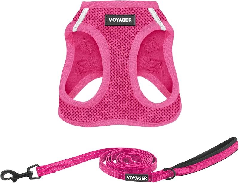 Best Pet Supplies Voyager Step-in Air Arnés de malla para todo tipo de clima y correa reflectante para perros de 5 pies con mango de neopreno, para cachorros de razas pequeñas, medianas y grandes, fucsia, mediano