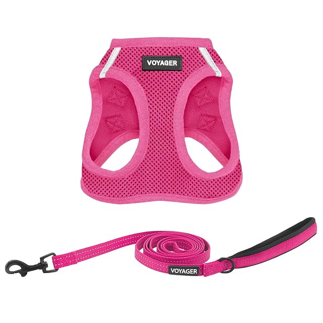 Best Pet Supplies Voyager Step-in Air
