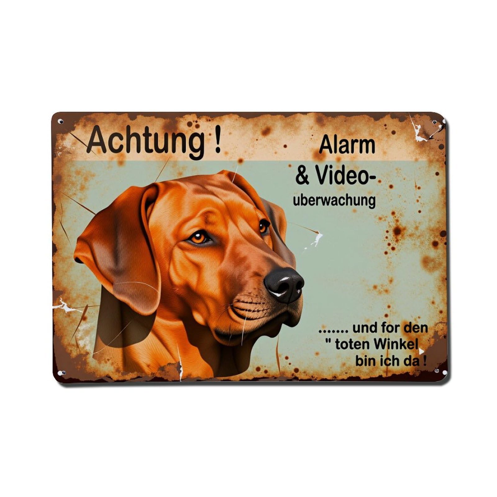 Dog Alarm Video Surveillance Warning Sign_2 Metal Tin Sign Plaque