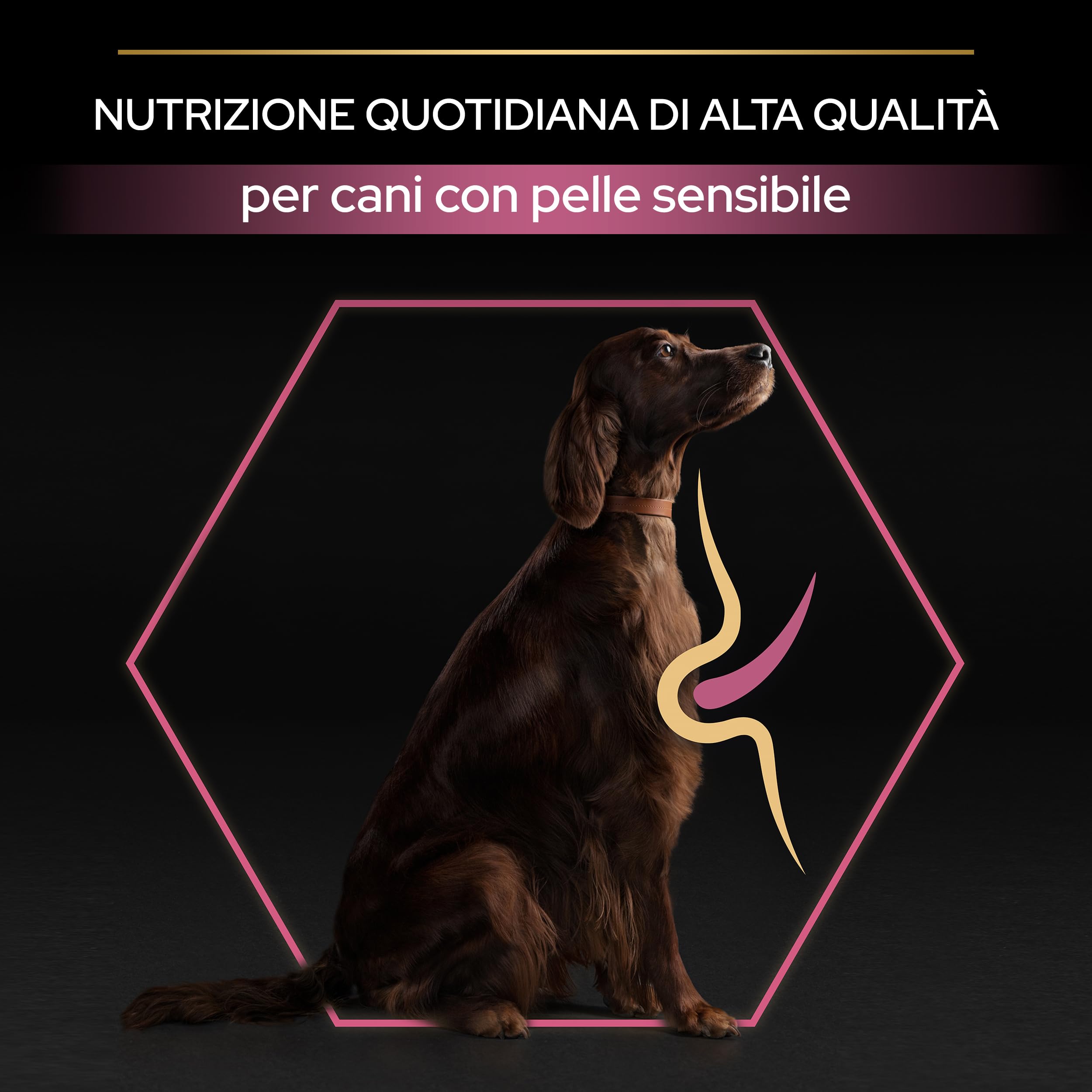 PURINA PRO PLAN Sensitive Skin Large Athletic Crocchette per Cani Adulti con Pesce Sacco da 14kg