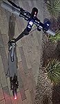 Review Image by Amazon Customer