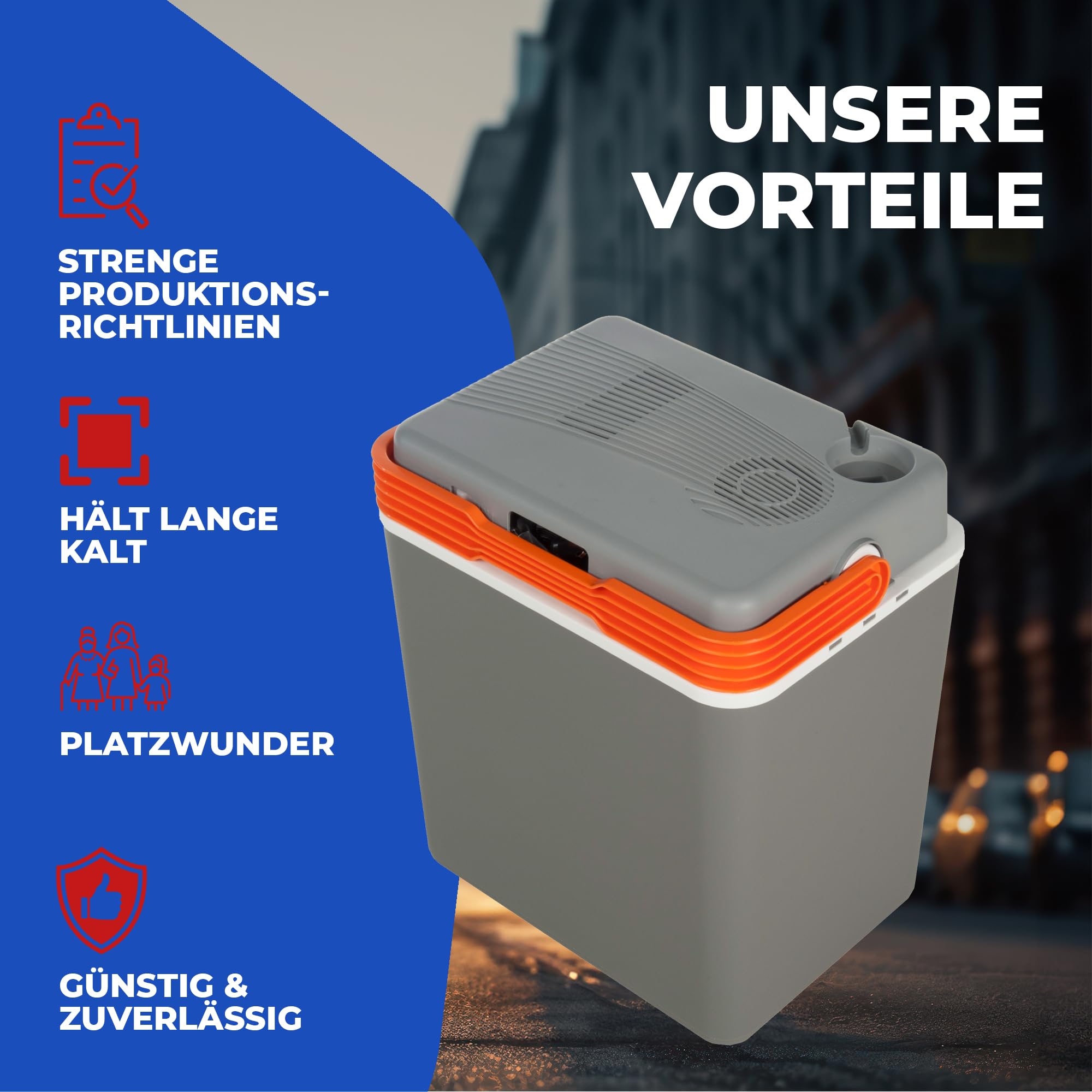 Elektrische Kühlbox und Warmhaltebox Coolbox Thermobox Picknick Camping 30 Liter Warmhaltebox 12V 230 V