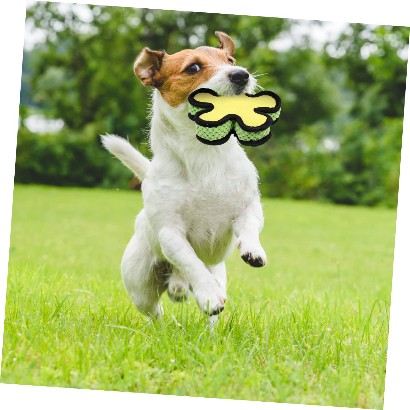 FRCOLOR 3 Piezas Juguete para Mascotas Muñecos Juguete Perro Pequeño Perrito Juguete Bonecas Juguetes para Perros Cachorros Emulsión Resistente a Mordeduras Juguete De Sonido