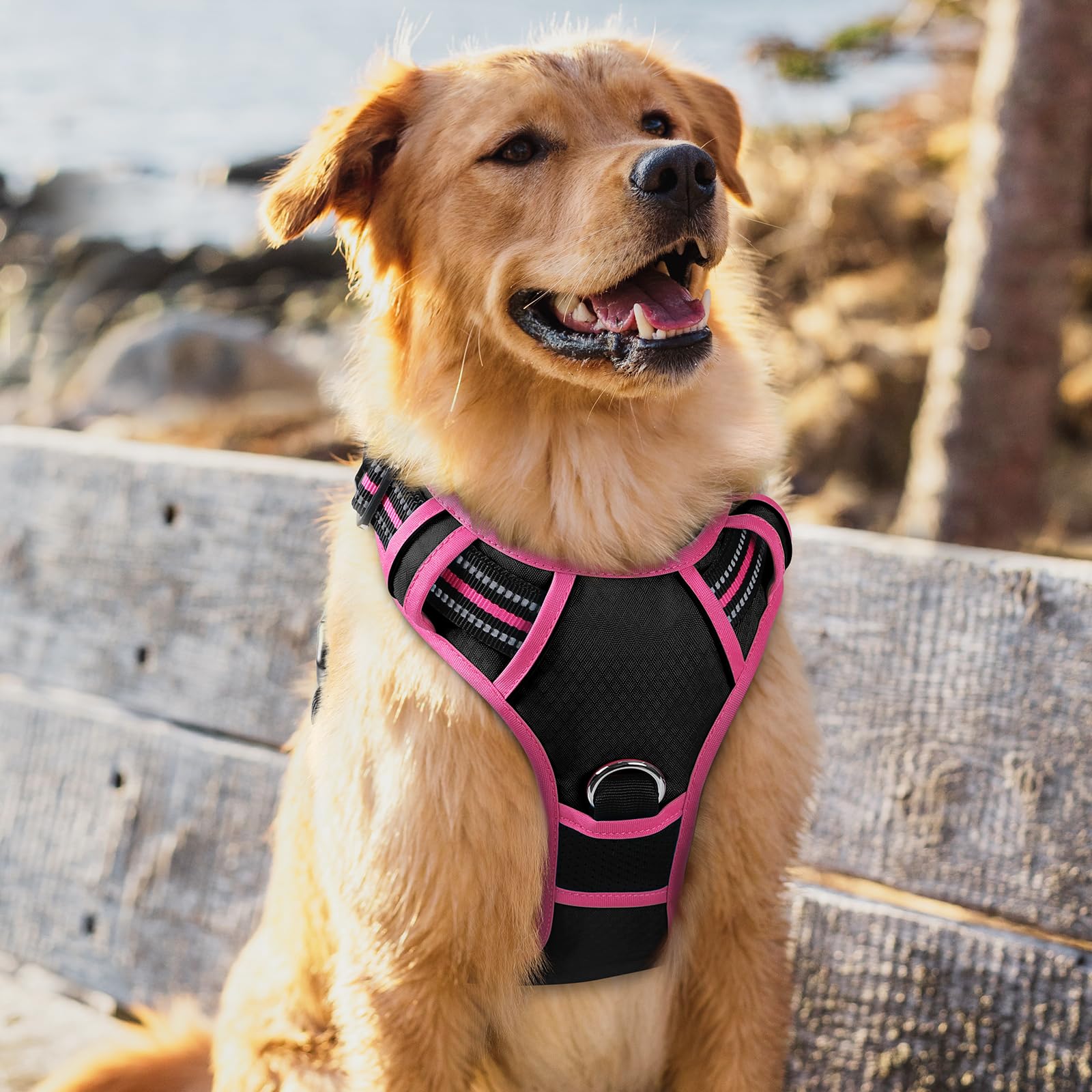 rabbitgoo Harnais pour chien de grande taille, anti-traction, 3 boucles, facile à mettre et à enlever | Rembourrage doux, poignée de contrôle, réglable et réfléchissant, noir et rose, taille XL