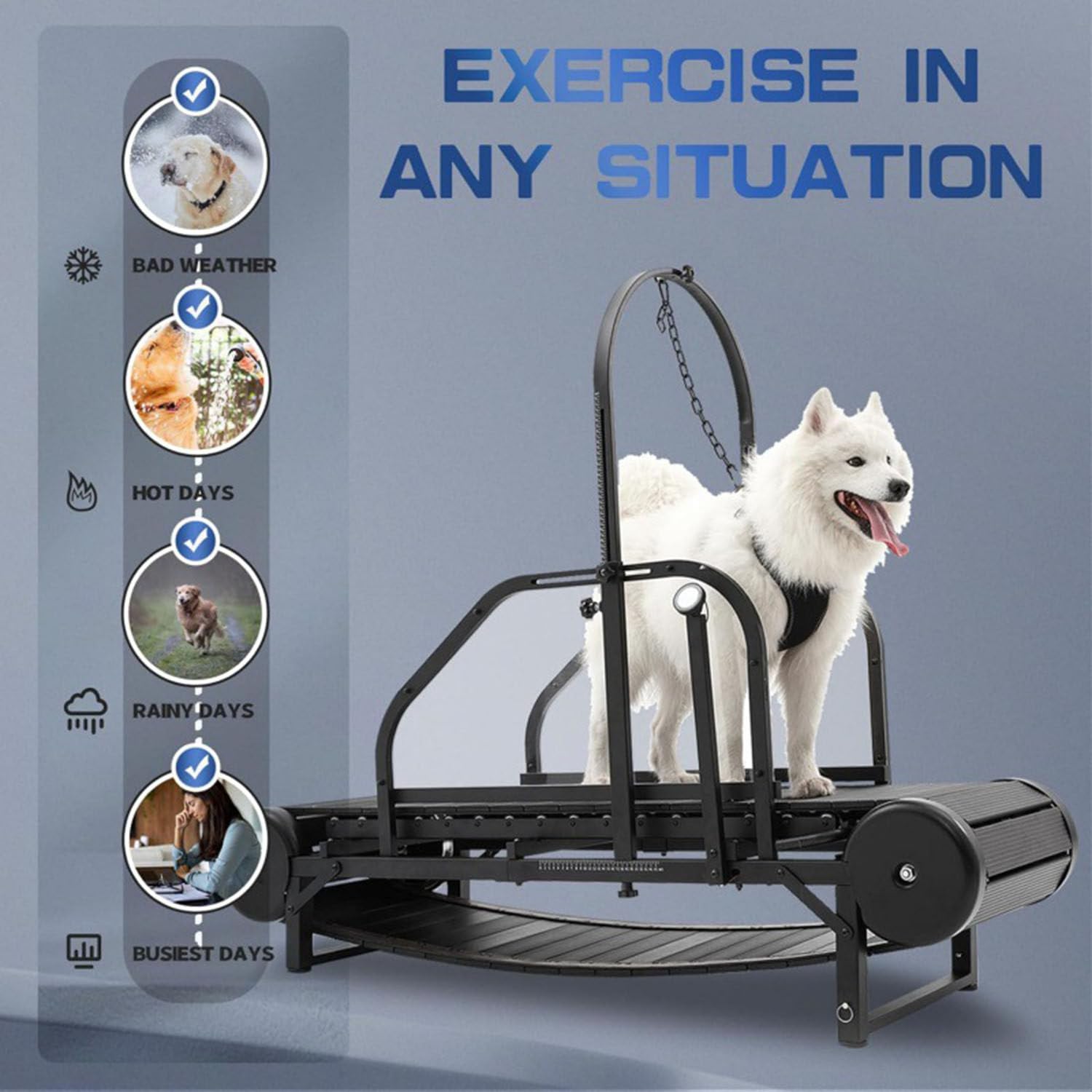 Cinta de Correr para Perros Grandes y medianos, Equipo de Ejercicio para Perros, Cinta de Correr para Perros, rampa Ajustable para Perros, máquina de slatmill con podómetro