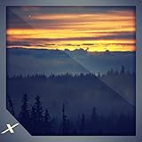 Sunset Forest - See the Sunset in the Deep Forests