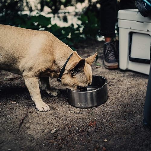 Miniatura 7 de YETI Boomer 8 - Cuenco antideslizante de acero inoxidable para perros, capacidad para 64 onzas, acero inoxidable