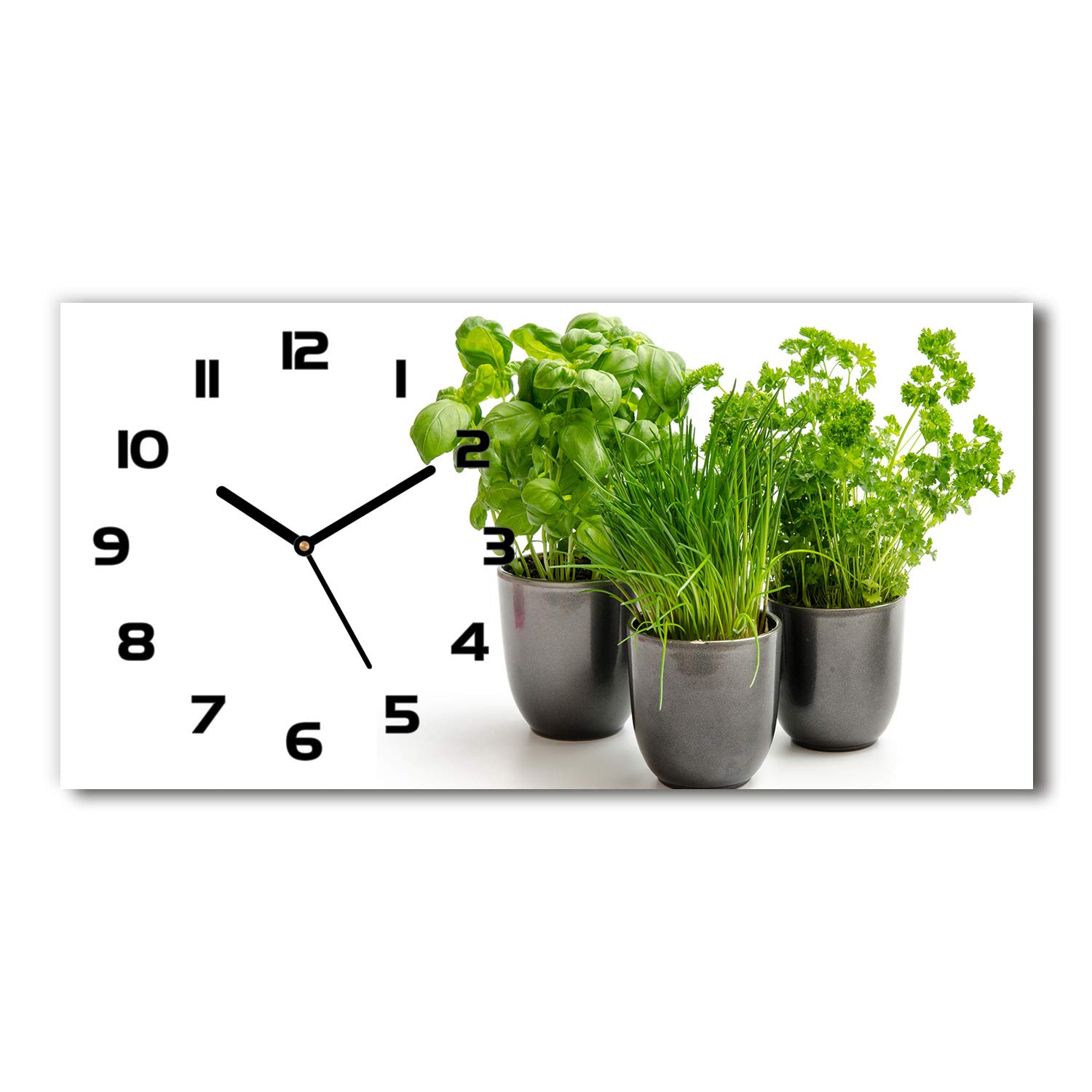 Horloge en Verre 60x30cm Silencieuse Tulup - Décoration Herbes en Pots Design Noir