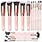 Makeup Brushes Makeup Brush Set, BESTOPE PRO Makeup Brushes Kit, 16Pcs Professional Makeup Brush Set for Eye and Face, Foundation Powder Concealers Blush Eyeshadow Brush Make UP Brushes Kit Pink