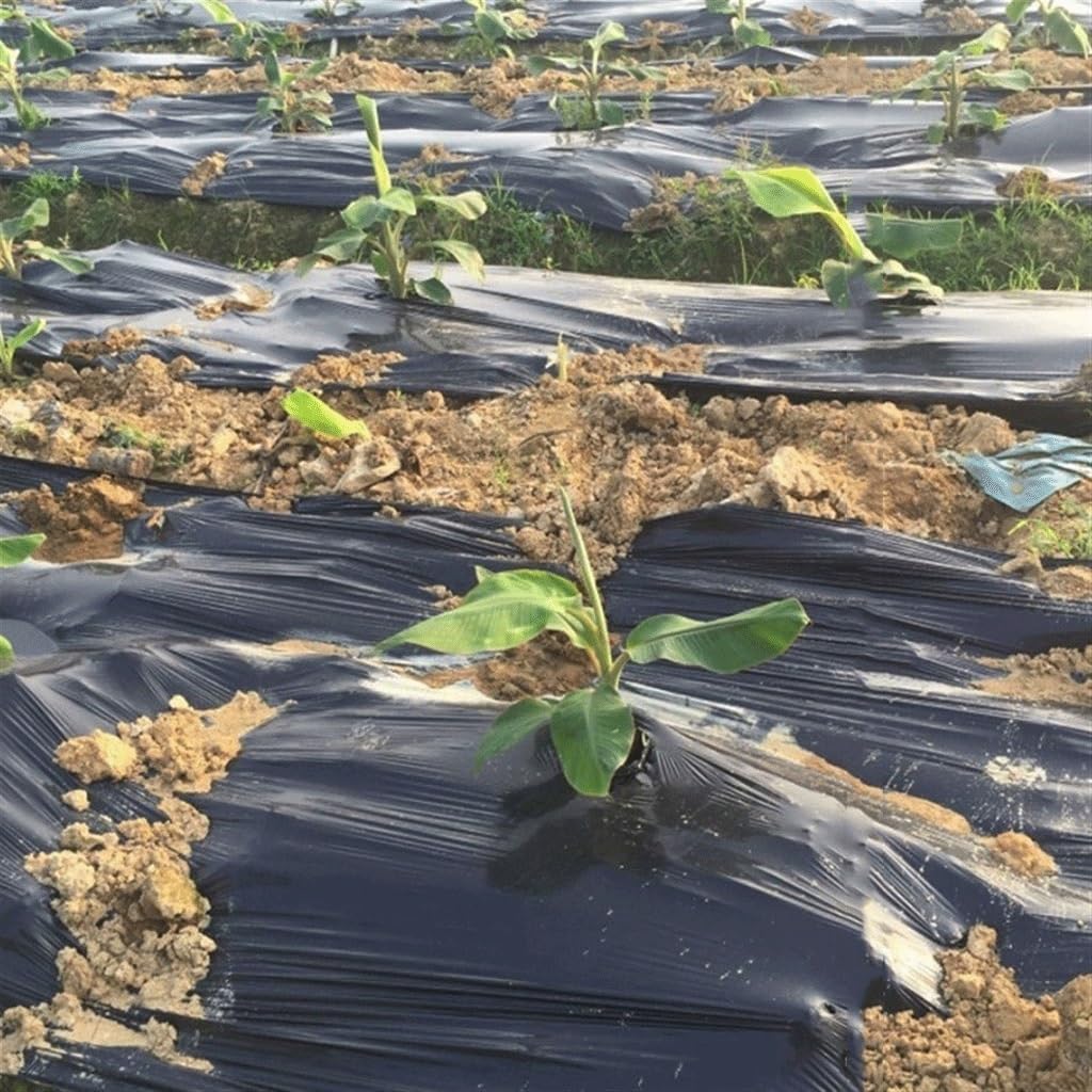 Film agricole Noir épais de 25 m, 0,01 mm, for la Plantation de légumes, Films de paillage en Plastique, contrôle des Mauvaises Herbes, Maintien au Chaud, Film de Culture(Width 0.8m)
