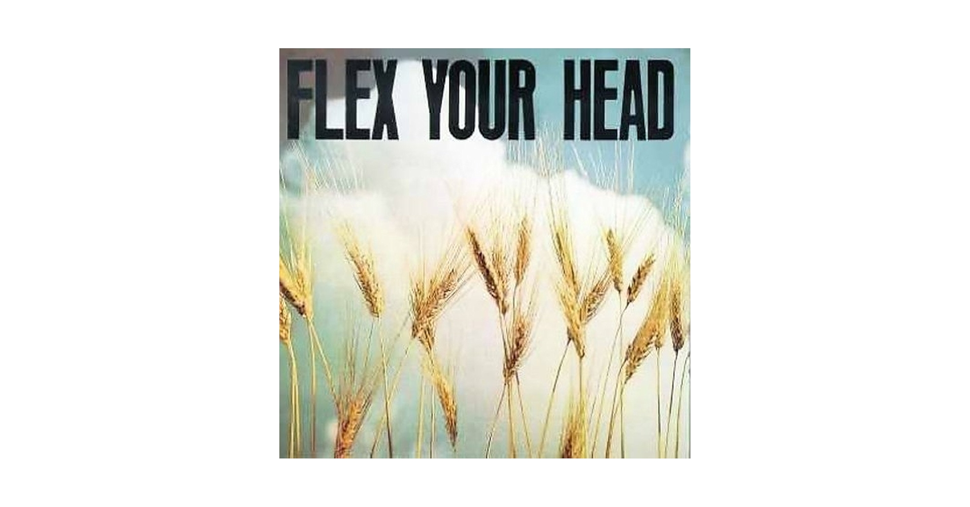 Various Artists - Flex Your Head - Amazon.com Music