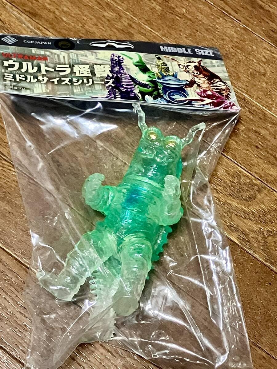 魚の化石 額装品 約30cm 形状お任せ 木化石 サイズミックス 5kg 45cm