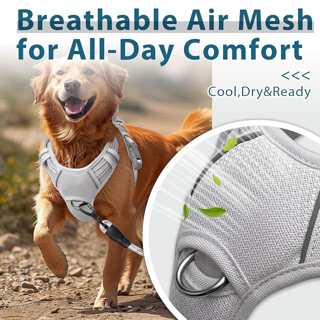 Foto 4 de 8 de BARKBAY Arnés antitirones con Clip Frontal para Perro, Resistente, Reflectante