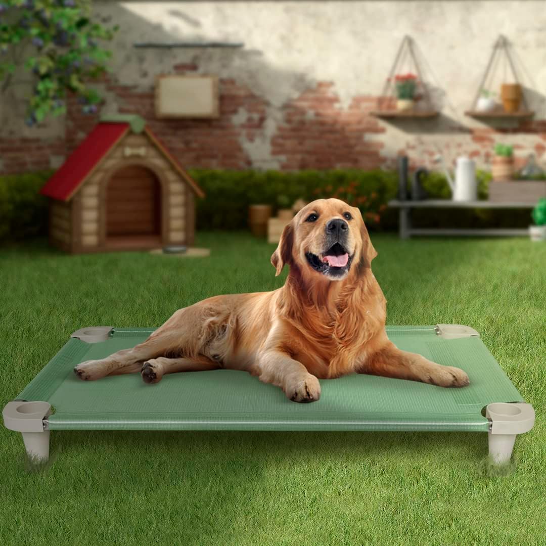 Acrimet Cama Elevada para Perros, Malla Lavable y Transpirable, Estructura de Acero Inoxidable, para Uso Interior y Exterior (Tamaño: 102 x 61 x 11cm) (Color Verde) (1 Unidad)