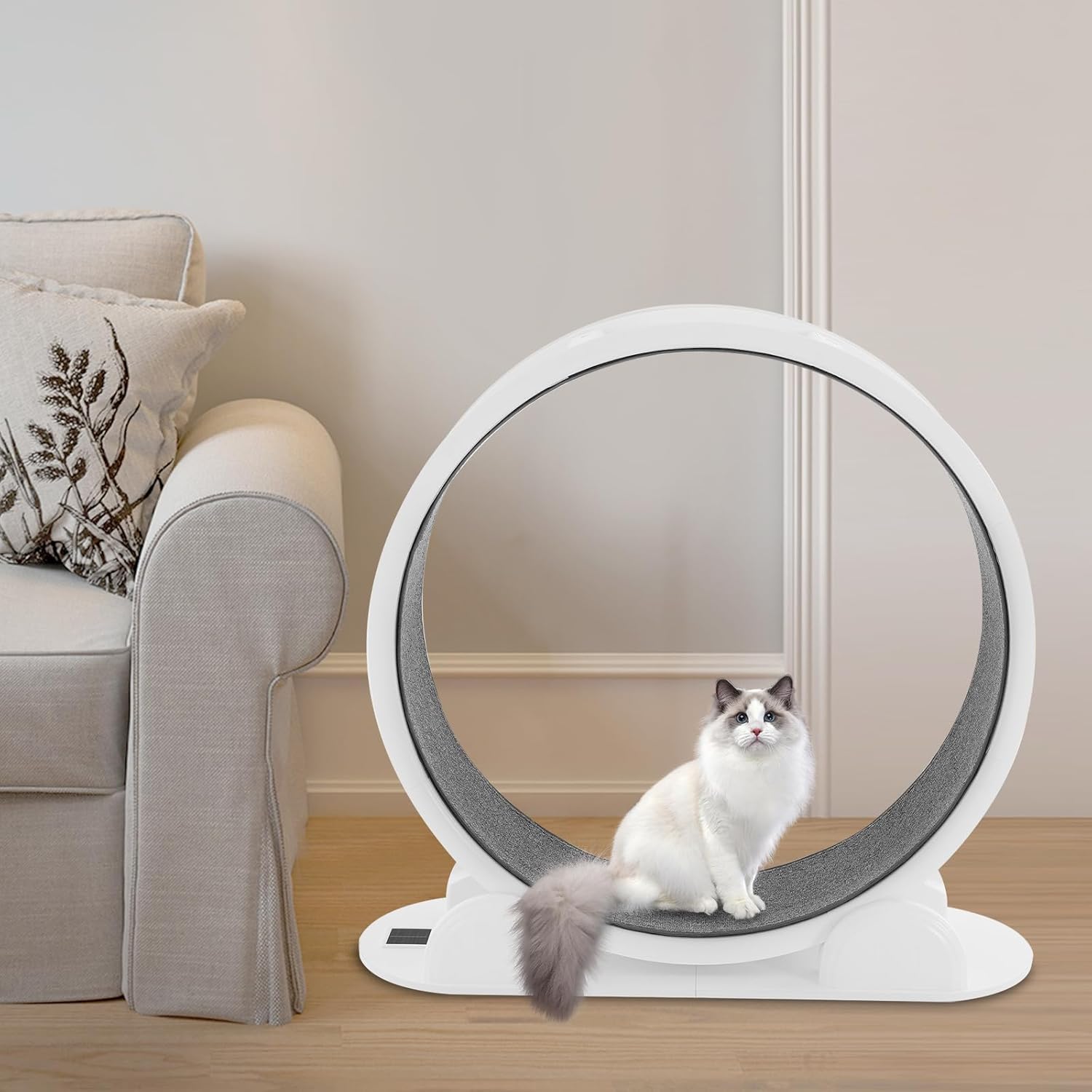 White Cat Running Wheel for Indoor Exercise and Play, Perfect for Active Cats