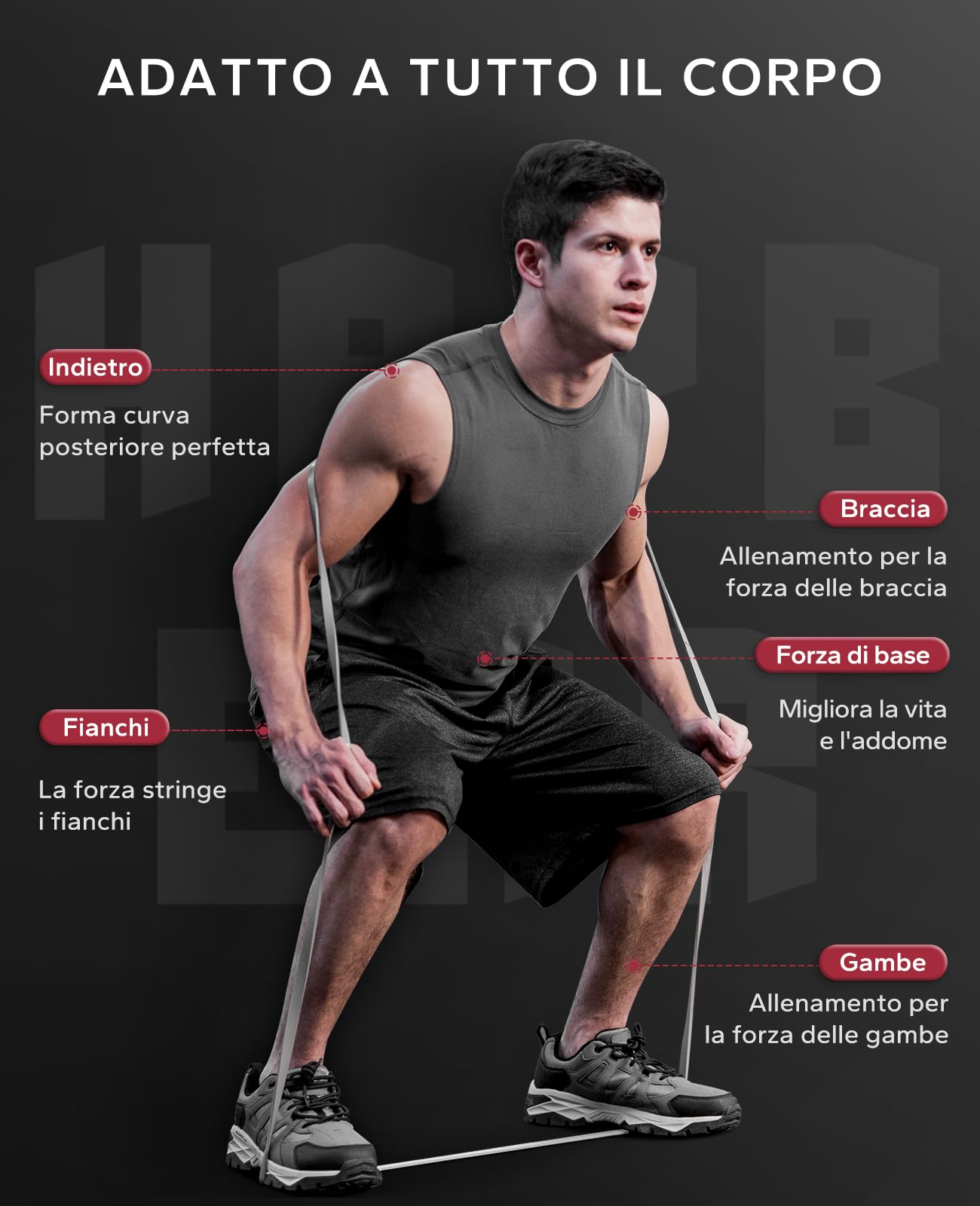 HAPBEAR Set di 5 Banda Elastiche Fitness, Fasce di Resistenza, con Ancoraggio per Porta per Pilates, Yoga, Allenamento di Forza, Fisioterapia Palestra per Uomo e Donna