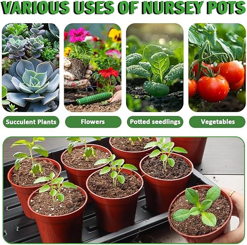 Vista 45 de Paquete de 100 macetas redondas pequeñas de 2.5 pulgadas para plantas de semillero para suculentas, macetas de vivero hechas de material PP de grado