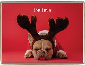 Glory To Dog Christmas Cards for Dog Lovers - Believe French Bulldog 12
