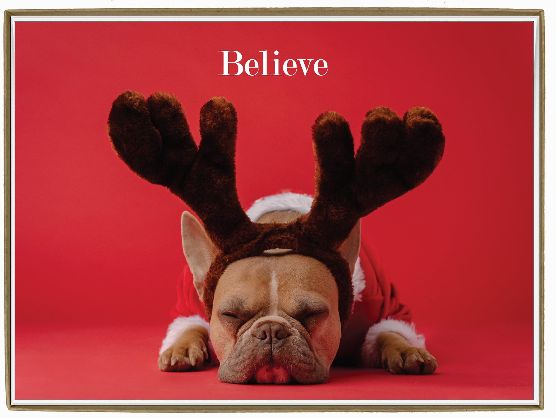 Glory To Dog Believe Christmas Card Boxed Set of 12 Cards and Greeting Card Envelopes