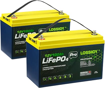 LOSSIGY 12V 100Ah Lifepo4 Lithium Battery, 1280WH with 100A BMS, Perfect for 24V Trolling Motor, Home Energy Stroage, RV, Solar System, Off-Grid2 Pack