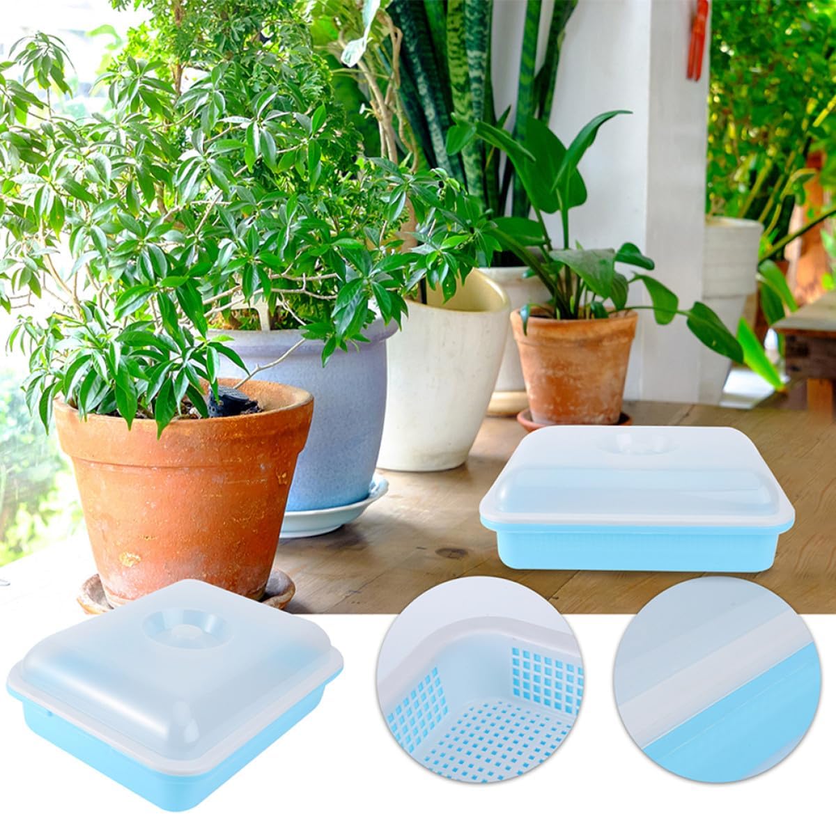 Veemoon Sprouting Tray with Lid Set of 2, Plant Germination Nursery Trays with Humidity Cover, Breathable Mesh Seed Starter Plates for Indoor Garden and Vegetable Sprouts Growing