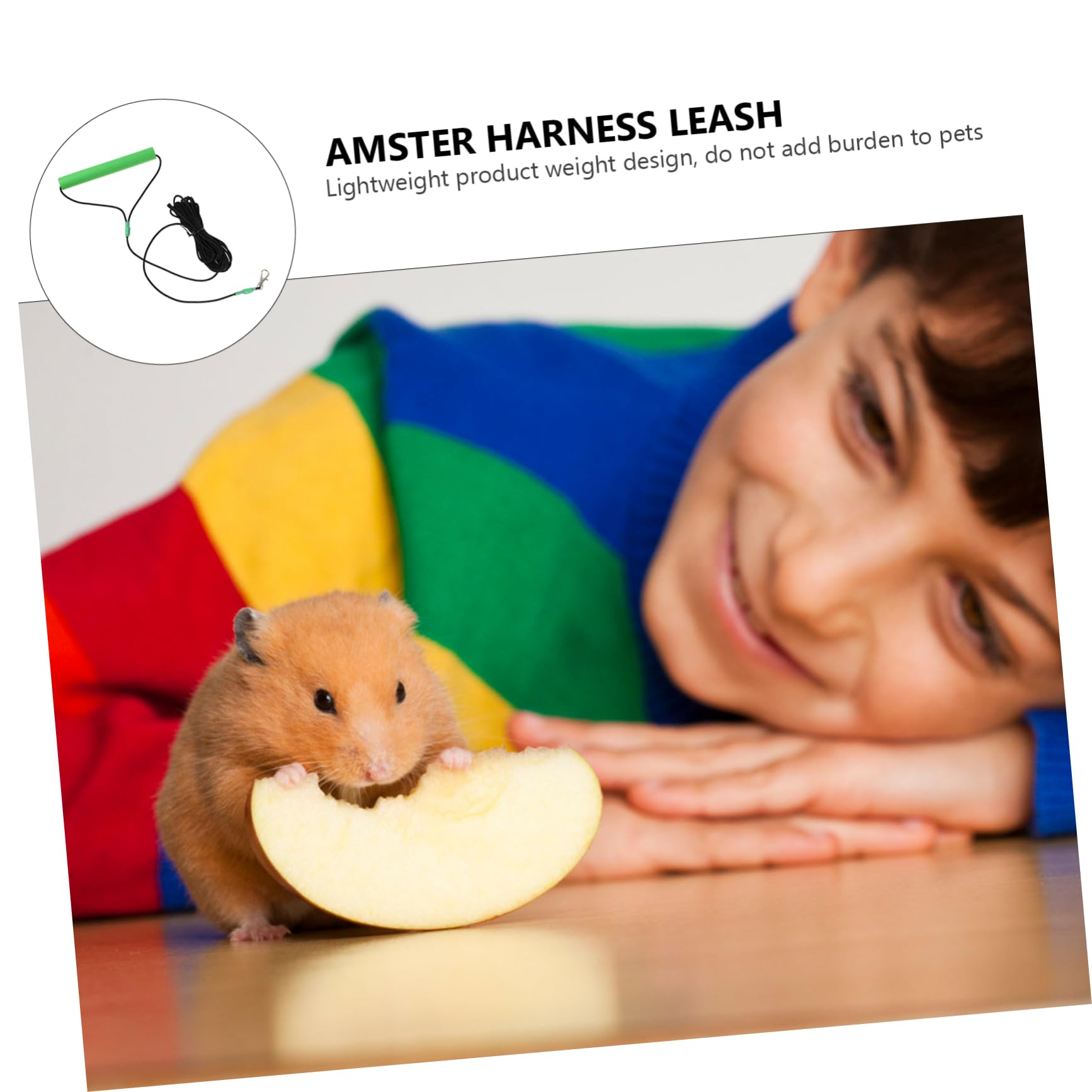 COLLBATH Arnés y para Pájaros Cuerda De Entrenamiento Antimordedura para y Pequeñas para y Entrenamiento De Aves