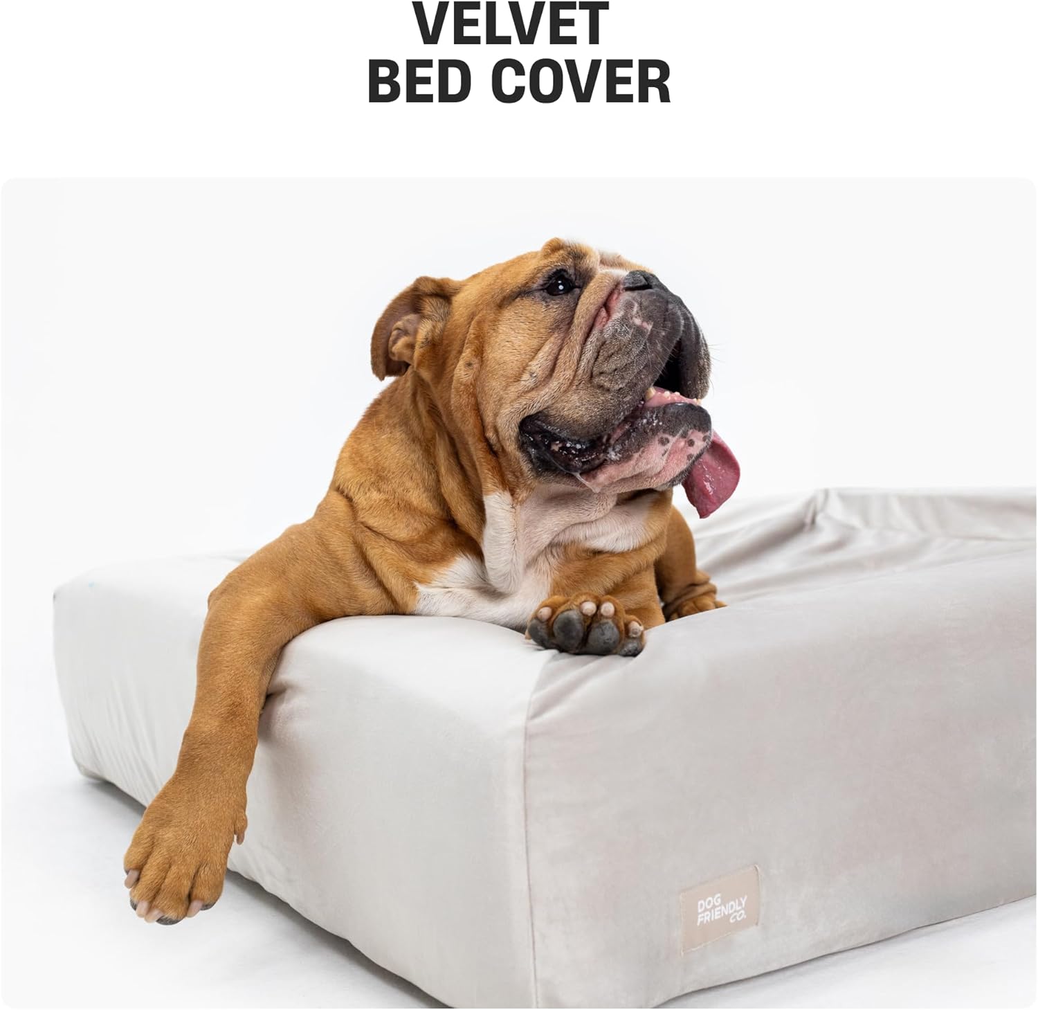 DF Co. Velvet Easy Fit Dog Bed Cover | Velvet Lining for Ultimate Comfort, Protect Original Bed, Machine Washable, Elastic Design, Allergy Management | Beige, Size L