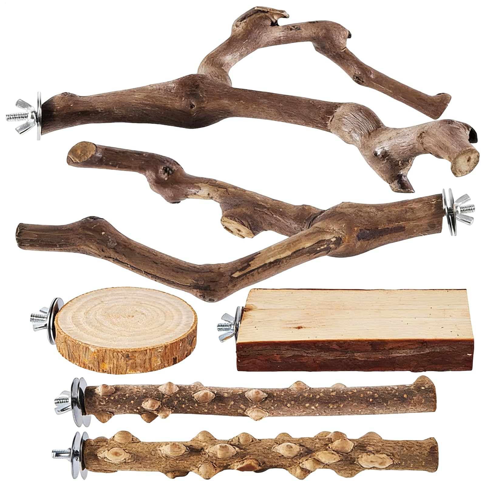 Perchoir naturel pour calopsitte en bois antidérapant favorisant l'exercice et l'enrichissement