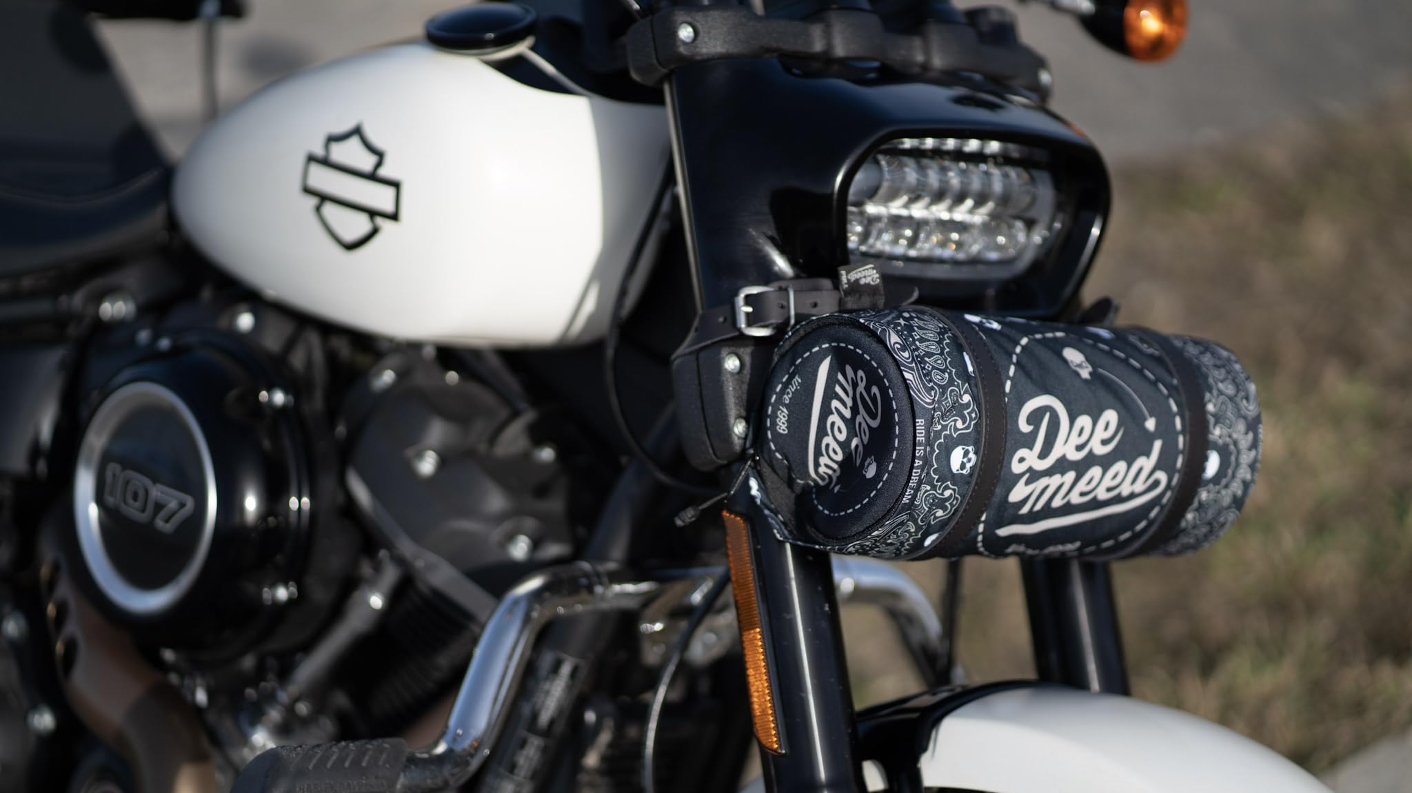 Roller Skull– Vielseitige Motorrad-Tasche aus Cordura®, Abriebfest, Wasserabweisend und Formstabil, Ideal für Helmtaschen, Regenkleidung und mehr (Skull)