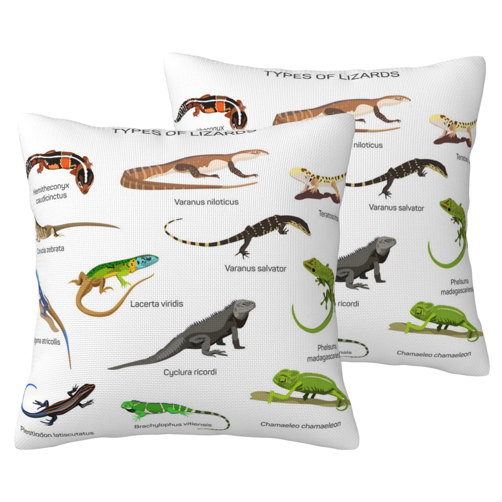 Housses de coussin imitation lin lézard pour décorer votre salon chic