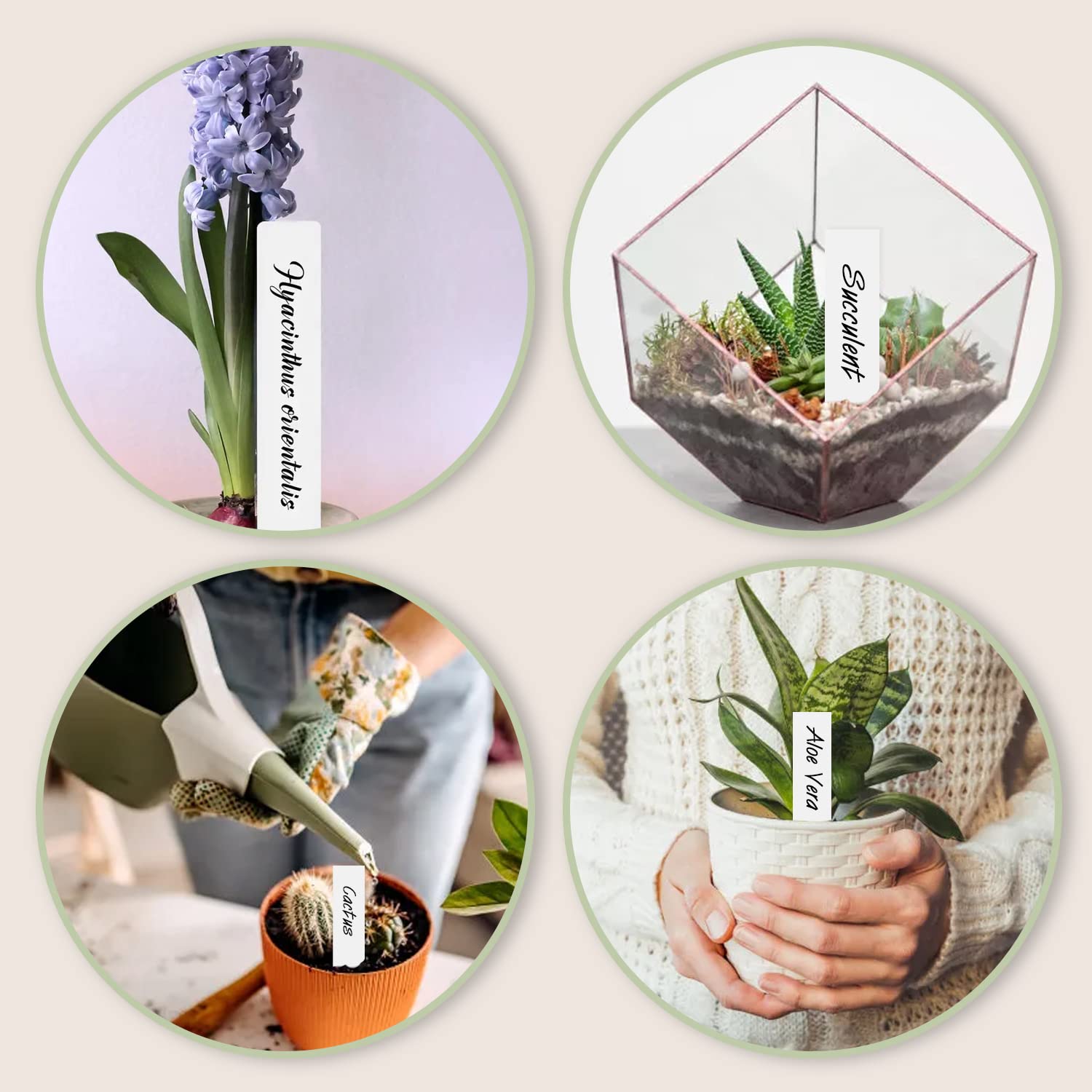 100 stuks plantenstekers om te beschrijven, milieuvriendelijke weerbestendige plantenborden, houten borden om te beschrijven, houten T-type marker voor potbloemen, groenten, tuin, bloemen