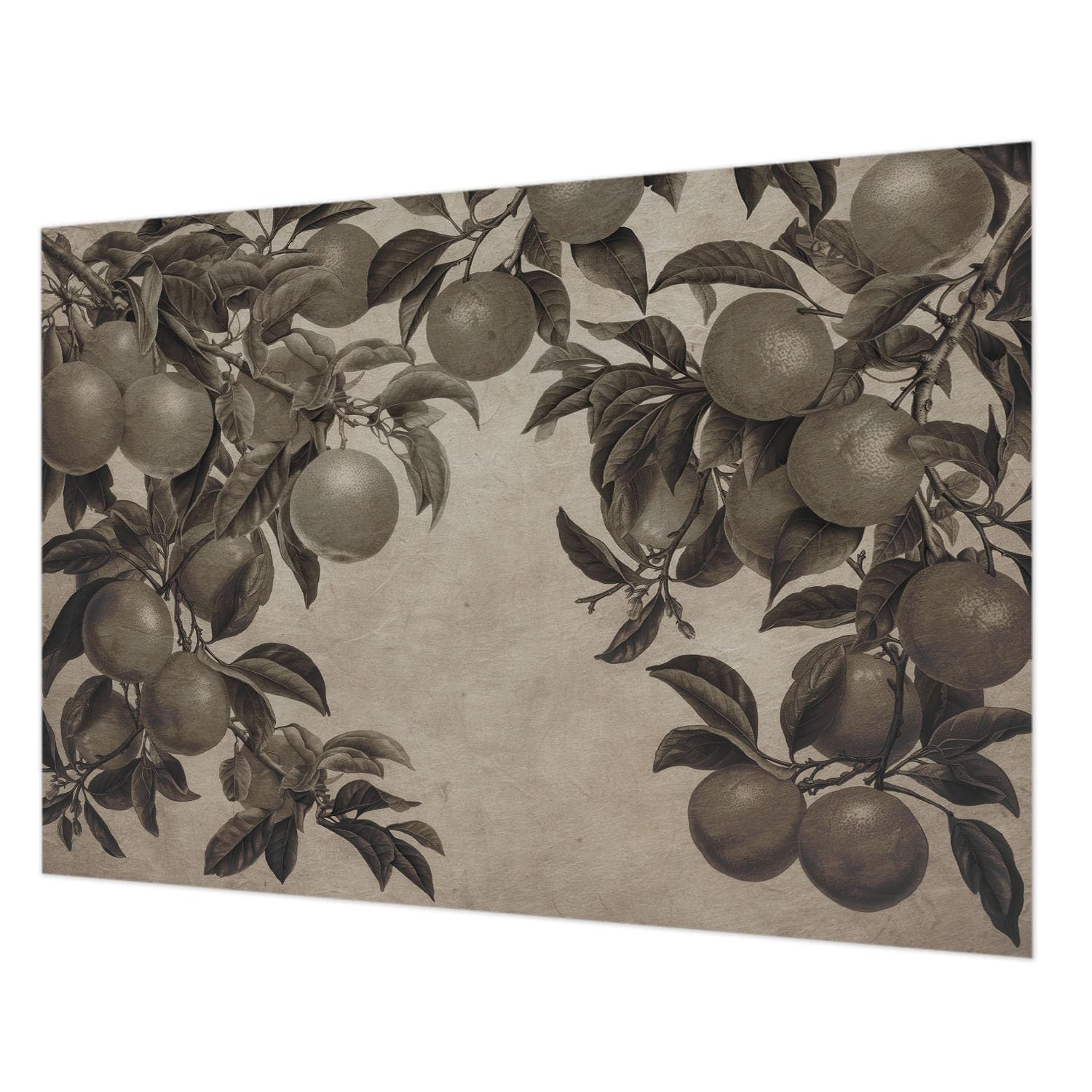 Revêtement mural intissé 208x146 cm modèle fruit pour décoration salon