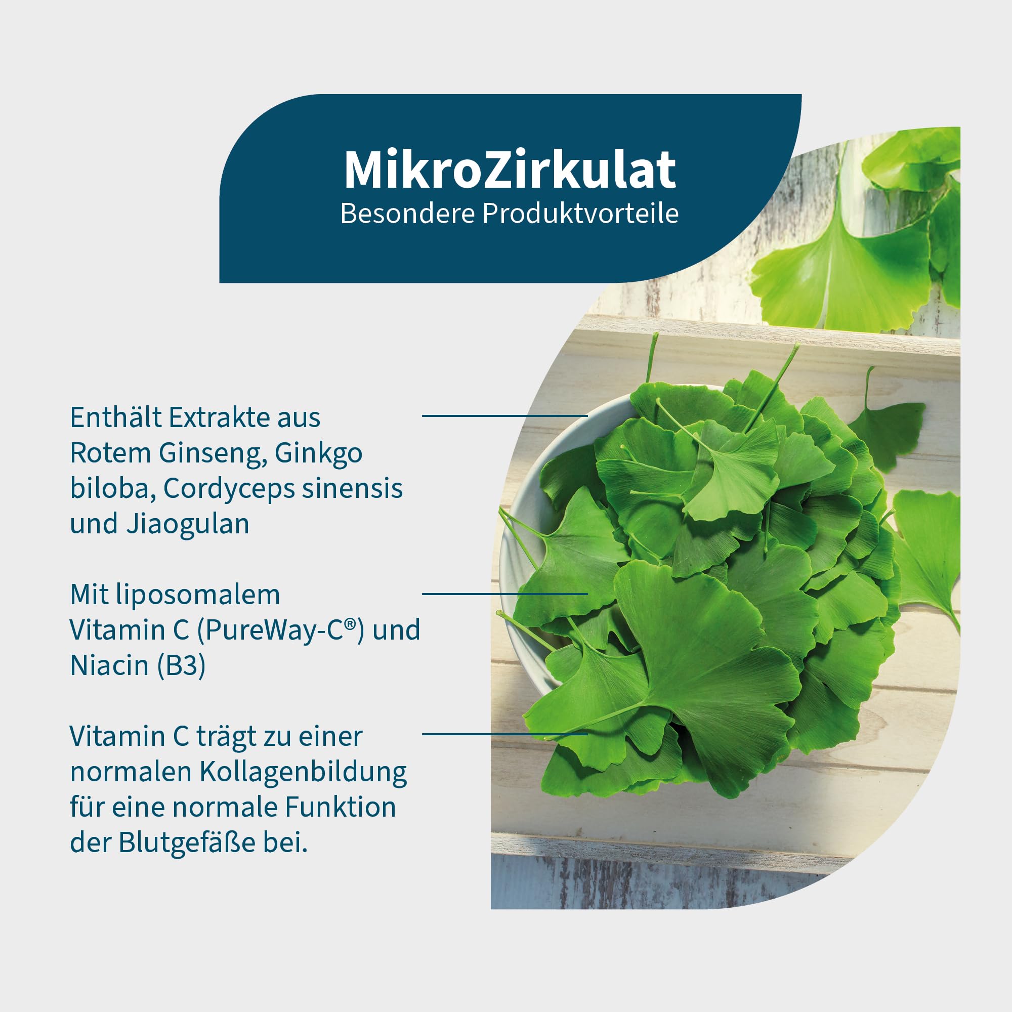 NatuGena MikroZirkulat – Extrakte aus Ingwer, roter Ginseng | 90 Kapseln