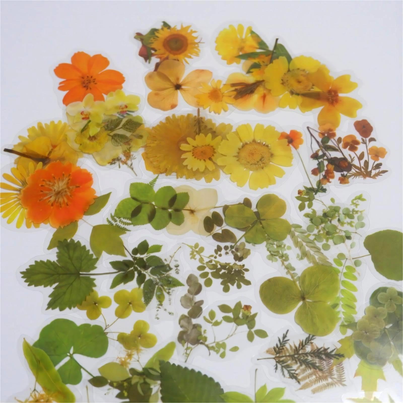 135pcs Flowers Stickers, Lifany Vinyl Waterproof Cute Flowers Stickers for Laptop, Phone, Luggage, Computer, Scrapbooking, Floral Stickers for Kids