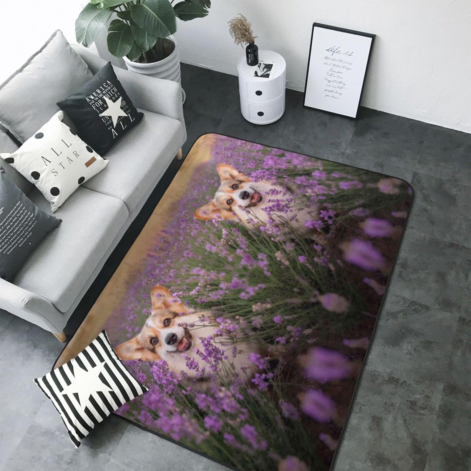 Tapis doux lavable pour nettoyer facilement les taches de décoration salon