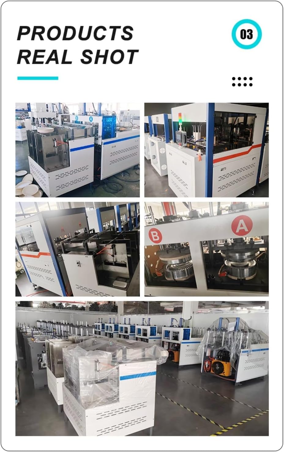 Paper Plate Forming Machine with Interchangeable Molds, Designed for Round and Custom Size Plates, Stable Operation for Commercial Paper Plate Production