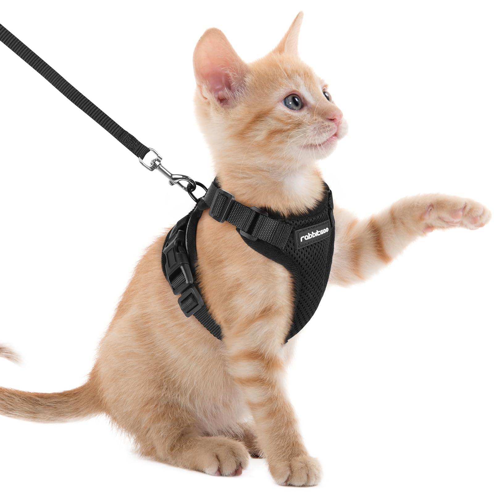 rabbitgoo Pettorina Gatto Antifuga con Guinzaglio, Guinzaglio per Gatti Regolabile, Pettorina Cane Taglia Piccola Riflettente, Imbracatura Gatto Adulto in Maglia Traspirante per Passeggiate, Nero, XXS