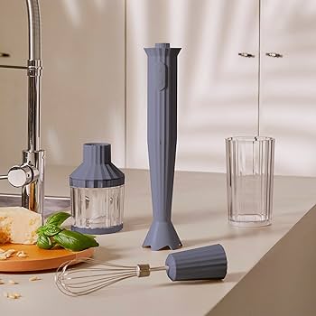 Amazon.com: Alessi Plissé MDL10SG/US - Hand Blender with