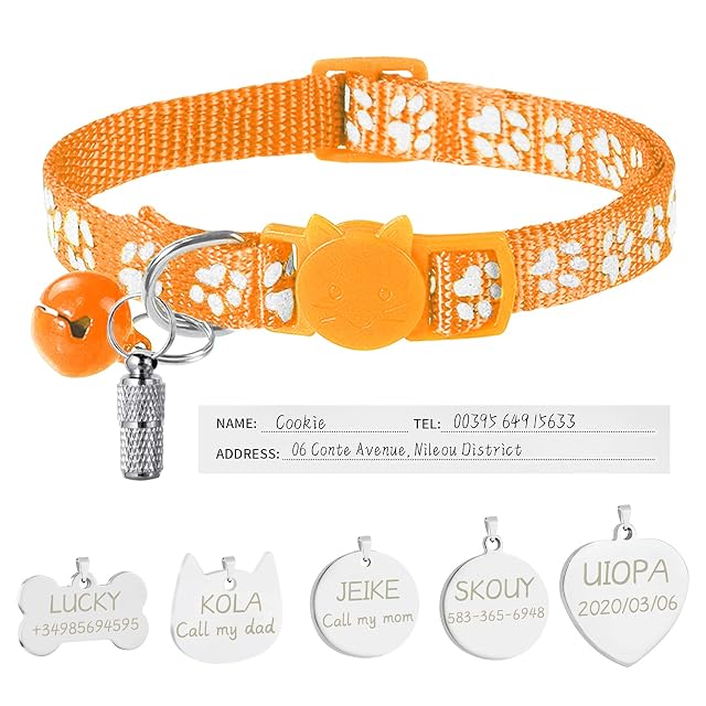 Uiopa Collar Gato Personalizado + Chapa Perro Grabada + Etiqueta de Dirección