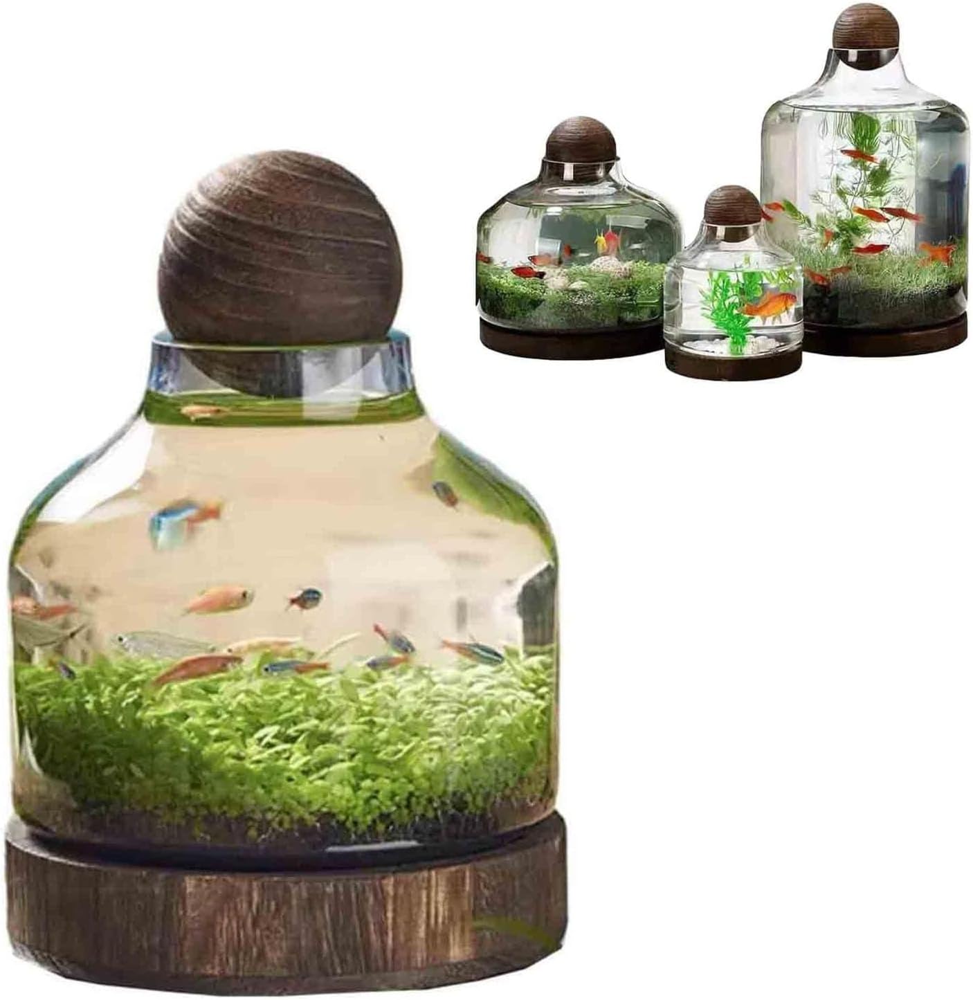 Fish Tank Vase Aquarium with Wooden Base Micro Ecosphere Transparent Clear Fish Bowl Hydroponic Plant Art Decor for Desktop Home(S, A)