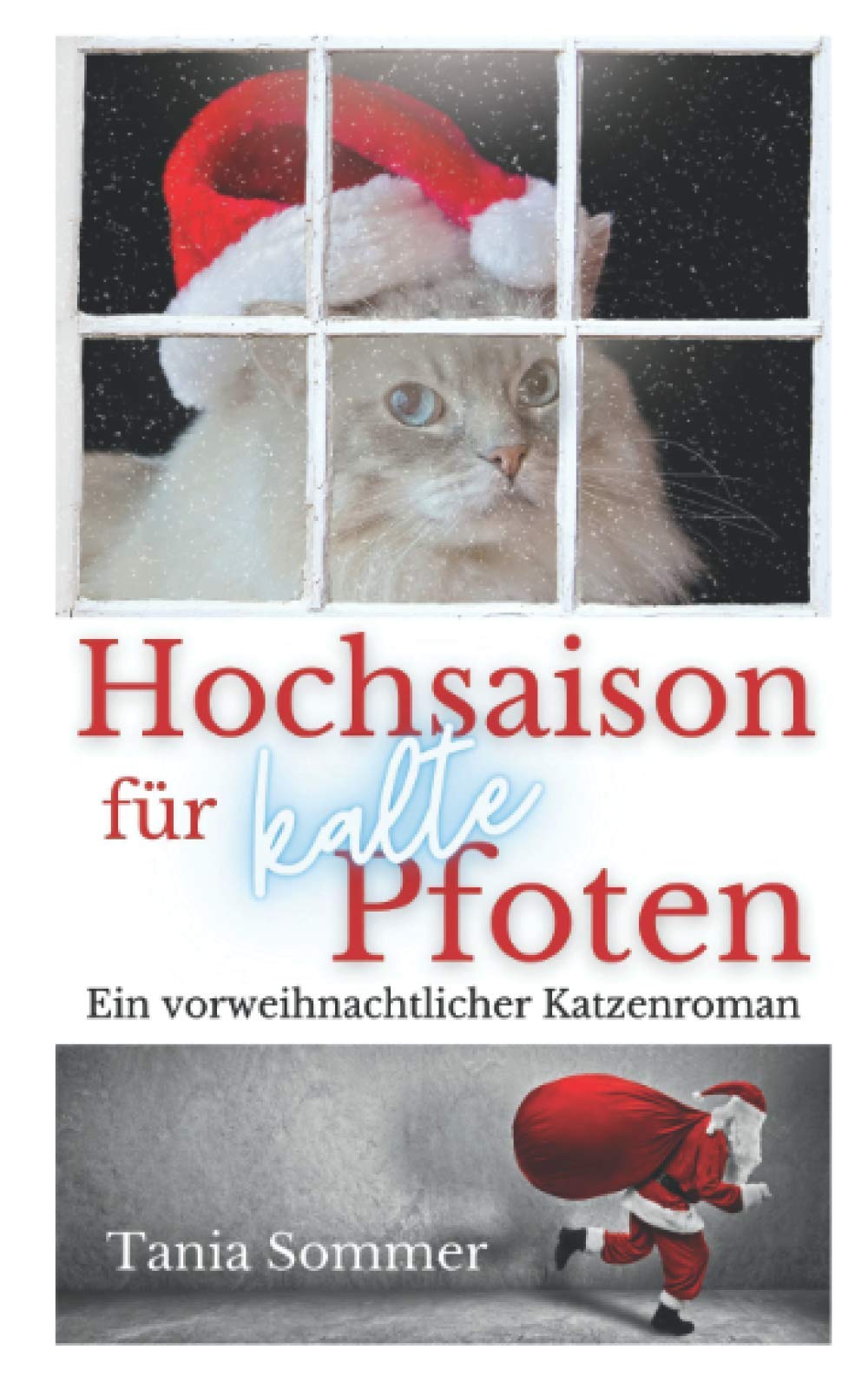 Hochsaison für kalte Pfoten: Ein vorweihnachtlicher Katzenroman (Humorvolle Katzengeschichten)