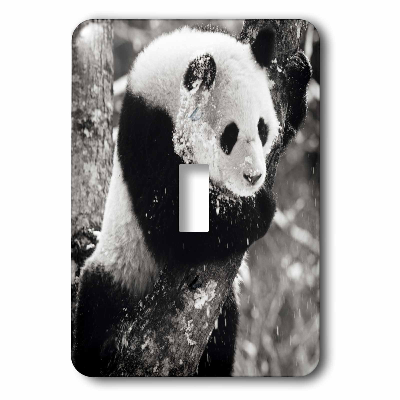 Interrupteur à bascule simple motif panda géant de Wolong Sichuan Chine 3drose LSP 70183 1