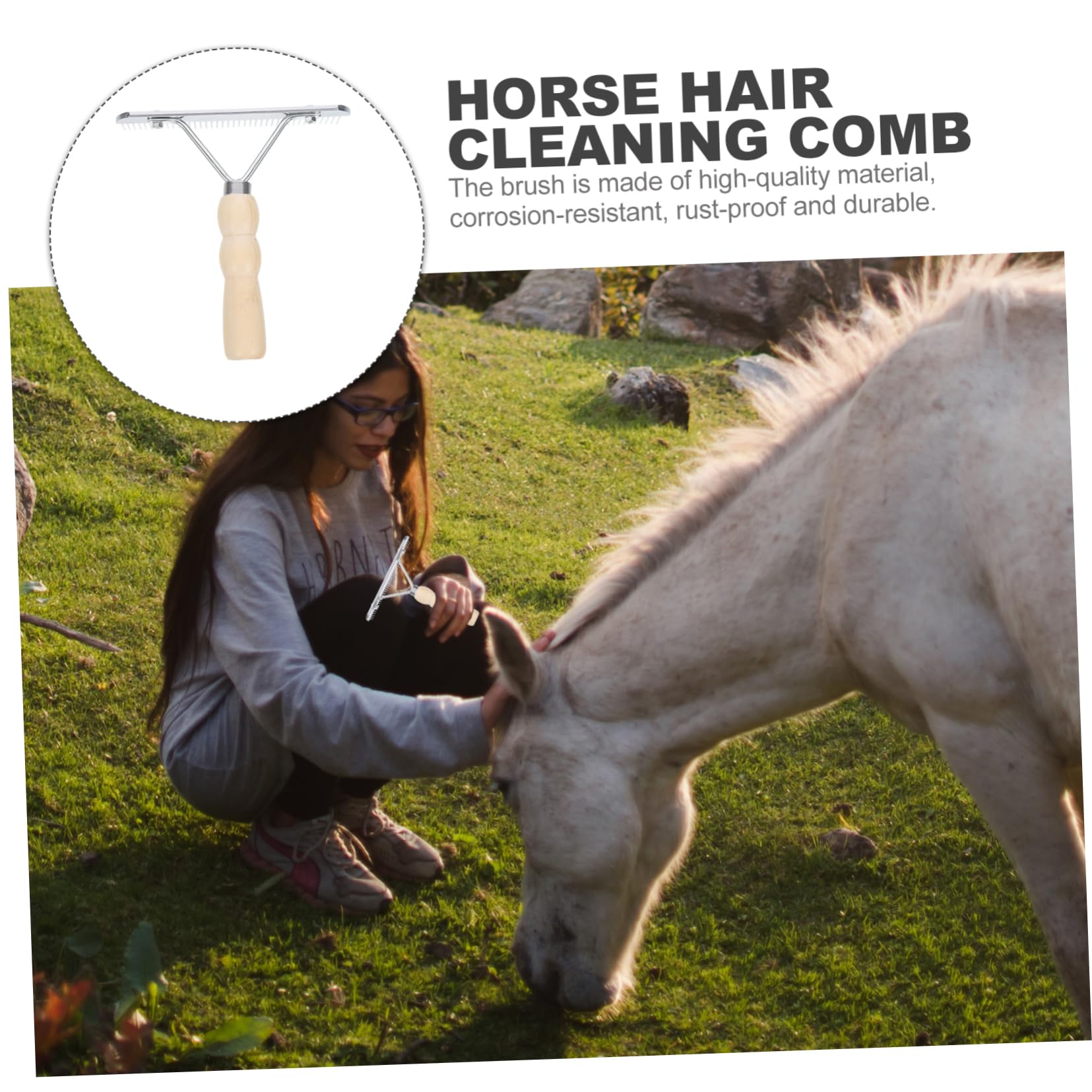 Sosoport 4piezas Cepillo De Limpieza De Caballo Mango De Herramienta De Cuidado Para Mascotas Accesorio Duradero y Ergonómico Para Higiene