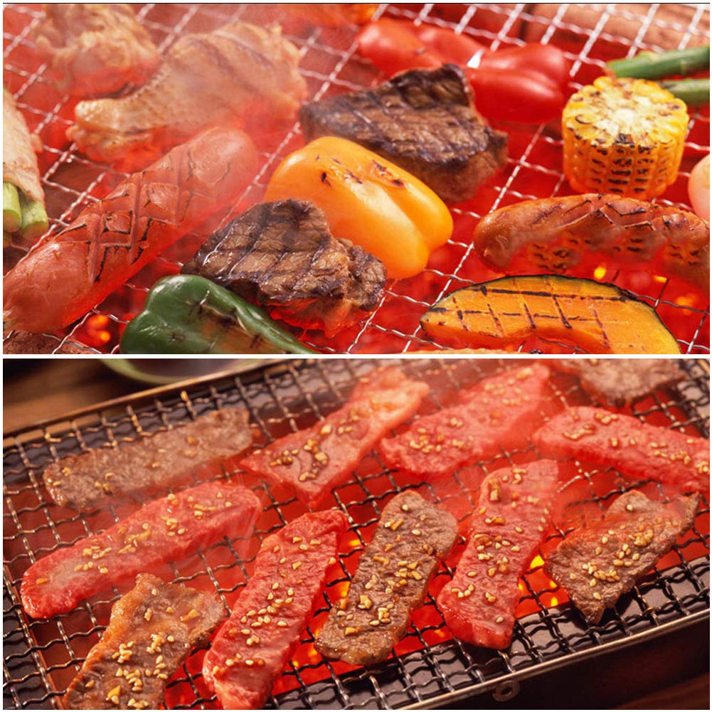 Kosz Bakg 51×30×1 Wielofunkcyjny Grill ze Stali Nierdzewnej z Siatki Drucianej Grill Siatka do Grillowania Stojaki na Grilla Narzędzie Piknikowe
