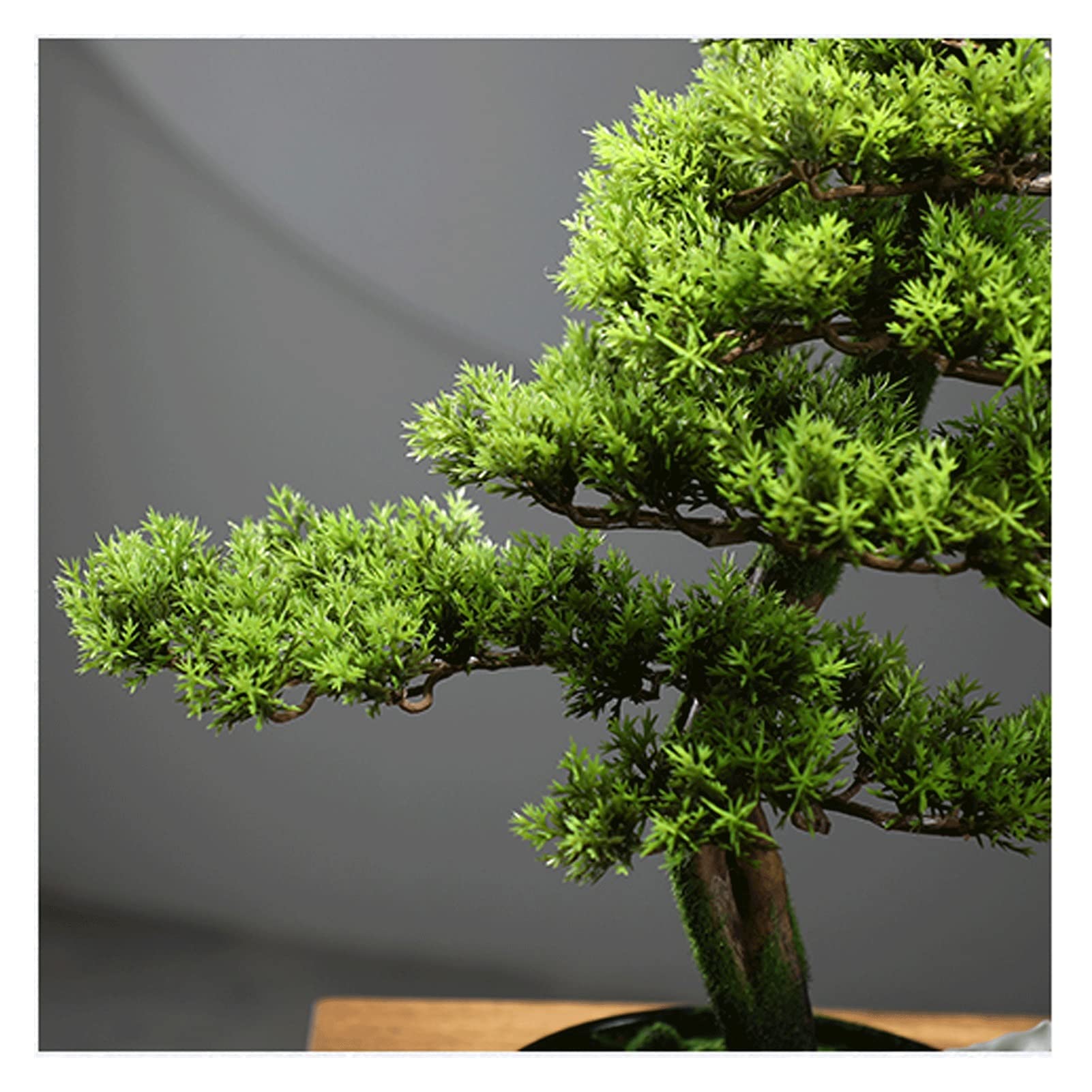 Piante artificiali Albero del bonsai artificiale da 16 pollici, impianti finte decorati da fulvo, for l'ufficio domestico, decorazioni da giardino Zen (con pennello for la pulizia) Bonsai artificiale