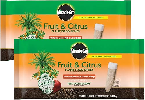 Miracle-Gro Picos de alimentos para plantas de frutas y cítricos, 12 picos (paquete de 2)