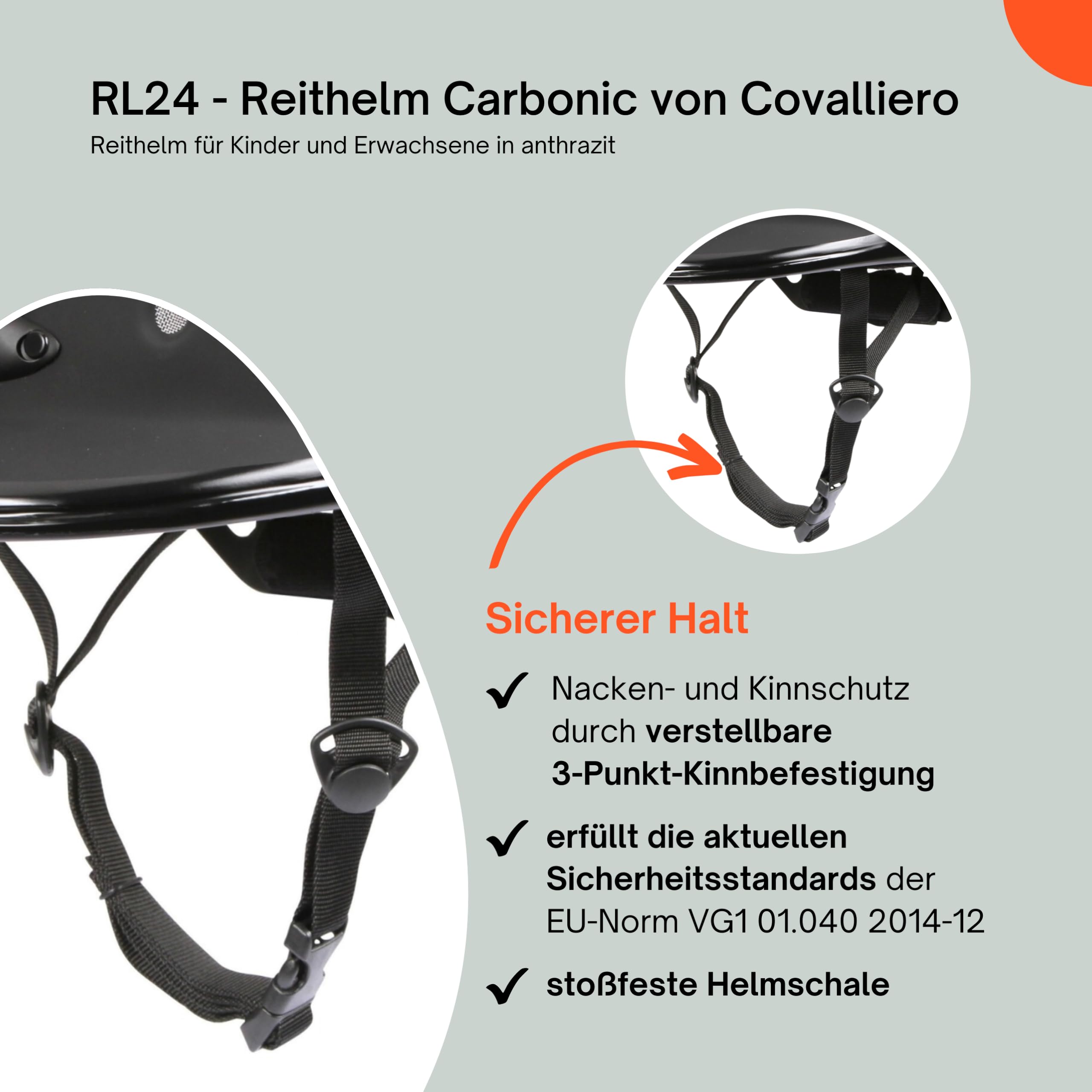 RL24 - Reithelm Carbonic von Covalliero | Reitkappe Kinder, Damen & Herren | mit 3-Punkt-Befestigung & optimalem Belüftungssystem | Helm zum Reiten | Reiterhelm in Anthrazit | Größen XS, S/M, L/XL